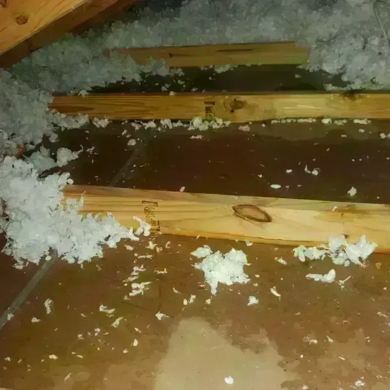 Attic Water Damage in De Witt, IA